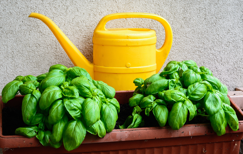 The Secret to Outdoor Privacy Lies in Selecting the Right Tall-Potted Plants